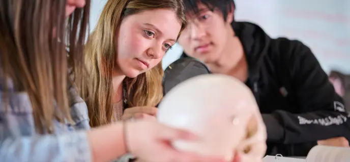 Criminology Course Image